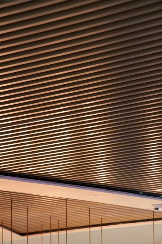 SAS700 metal ceiling