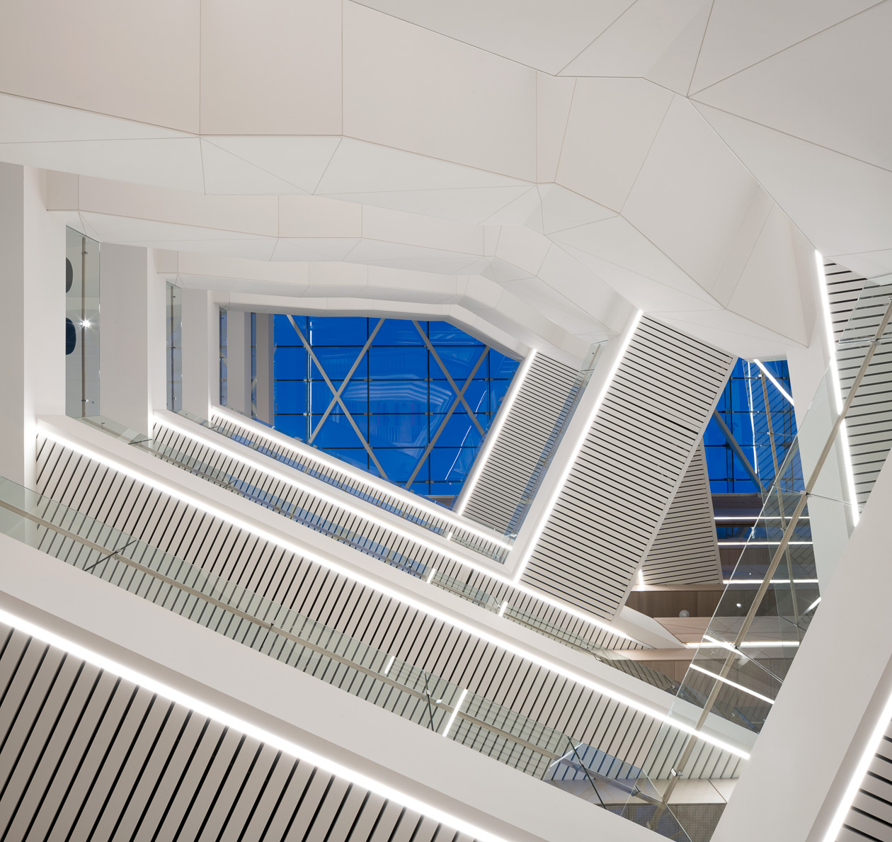 CBoI-com-720-sml (5).jpg