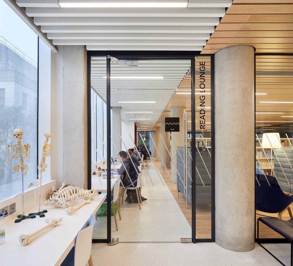 RCSI-Med-edu-740 (6).jpg