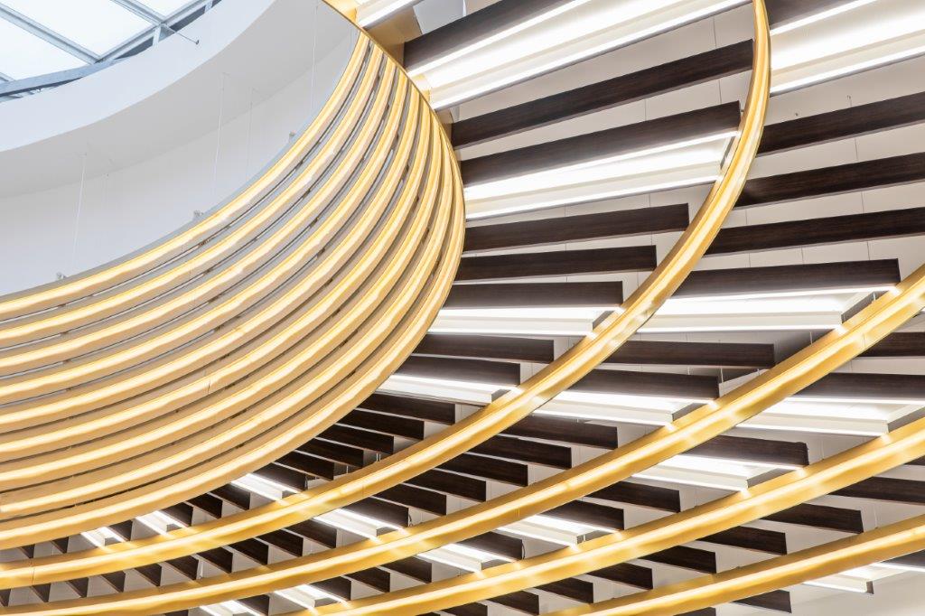 Arn-Lrg-AM-com (9).jpg