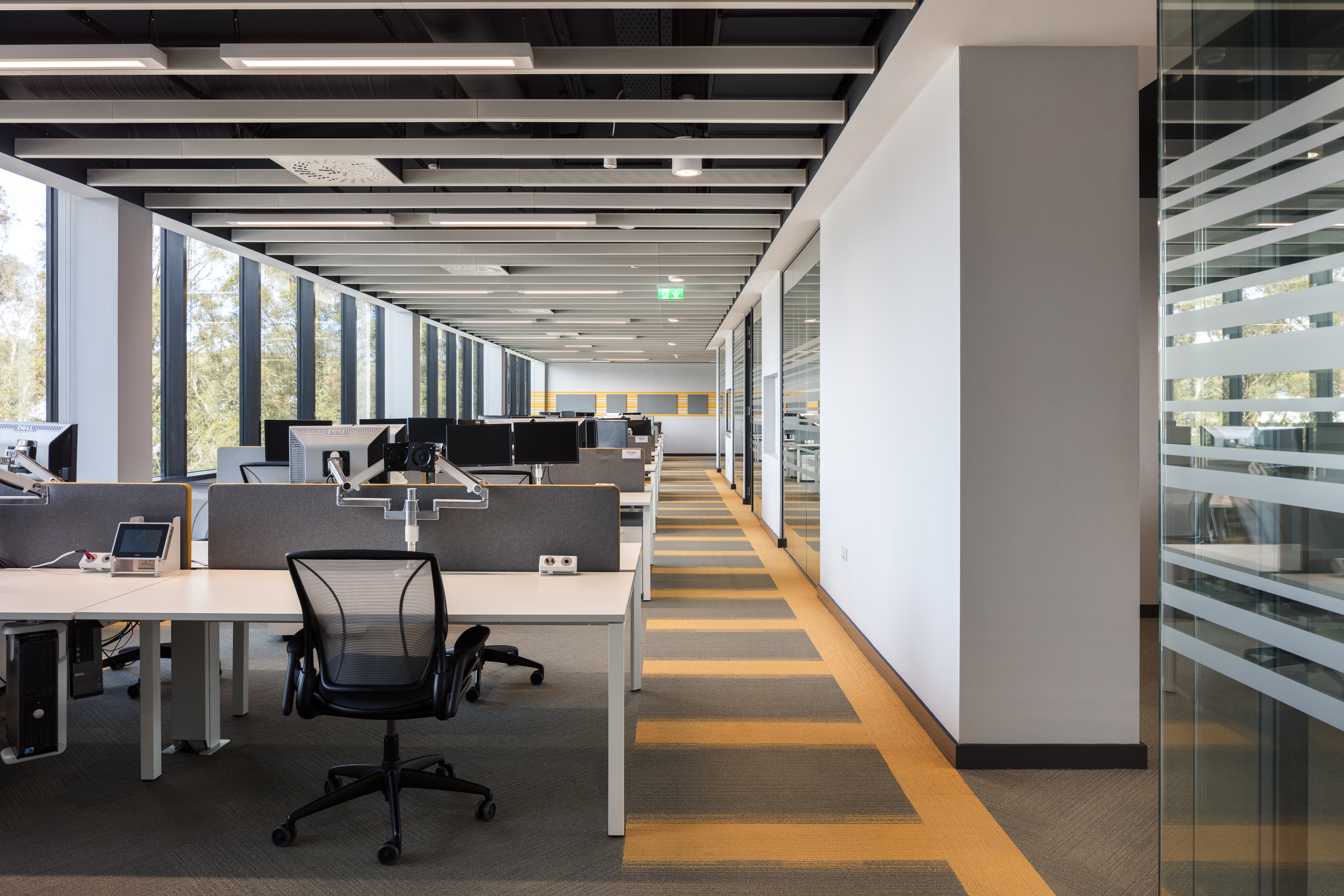 Pilz-Lrg-500-com (1).jpg